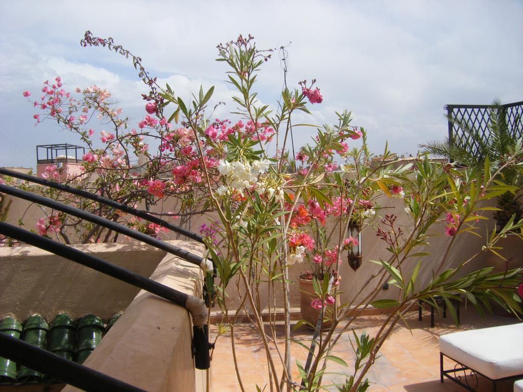 Riad Irene Marrakesh Bagian luar foto