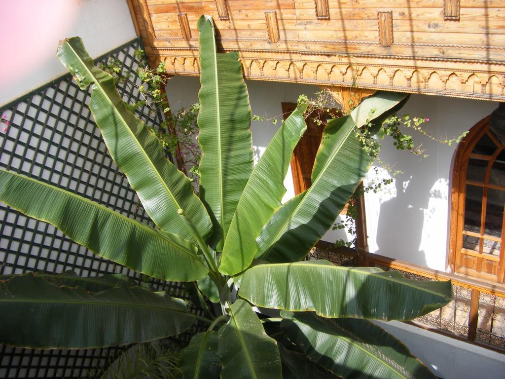Riad Irene Marrakesh Bagian luar foto
