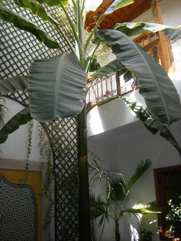 Riad Irene Marrakesh Bagian luar foto