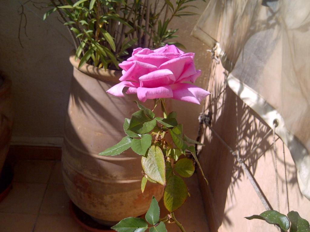 Riad Irene Marrakesh Bagian luar foto